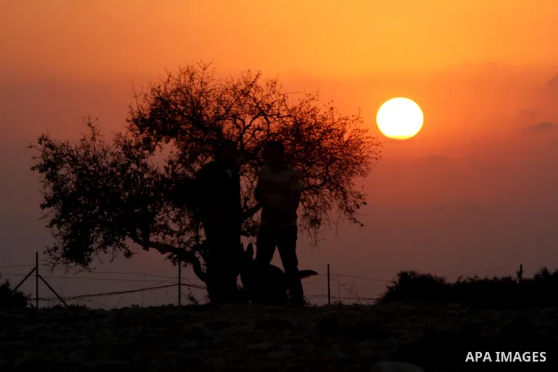 Palestinian men train their dogs during sunset in the West Bank city of Ramallah on Aug. 29, 2014. Photo by Shadi Hatem