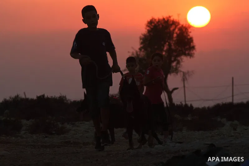 Palestinian children play with their dog during sunset in the West Bank city of Ramallah on Aug. 29, 2014. Photo by Shadi Hatem