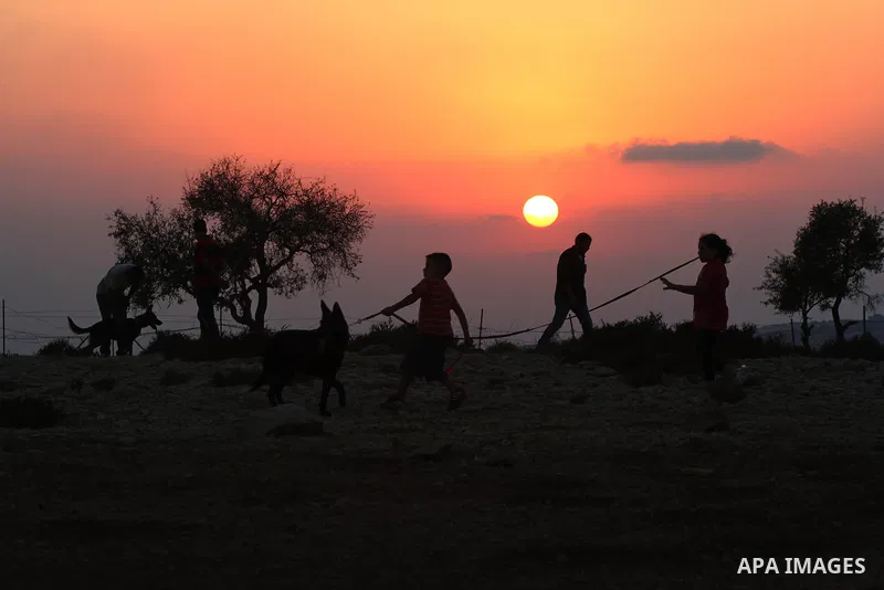Palestinian children play with their dog during sunset in the West Bank city of Ramallah on Aug. 29, 2014. Photo by Shadi Hatem