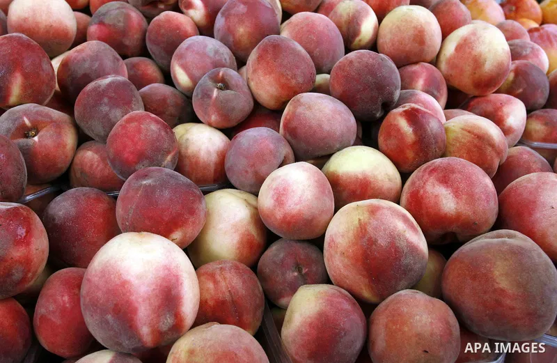 Peaches are seen at a shop in Rafah in the southern Gaza Strip, o n Sep. 01, 2014. Calm returned to the coastal enclave in a August 26 ceasefire, and Gazans were gradually starting to rebuild their lives after a bloody a...
