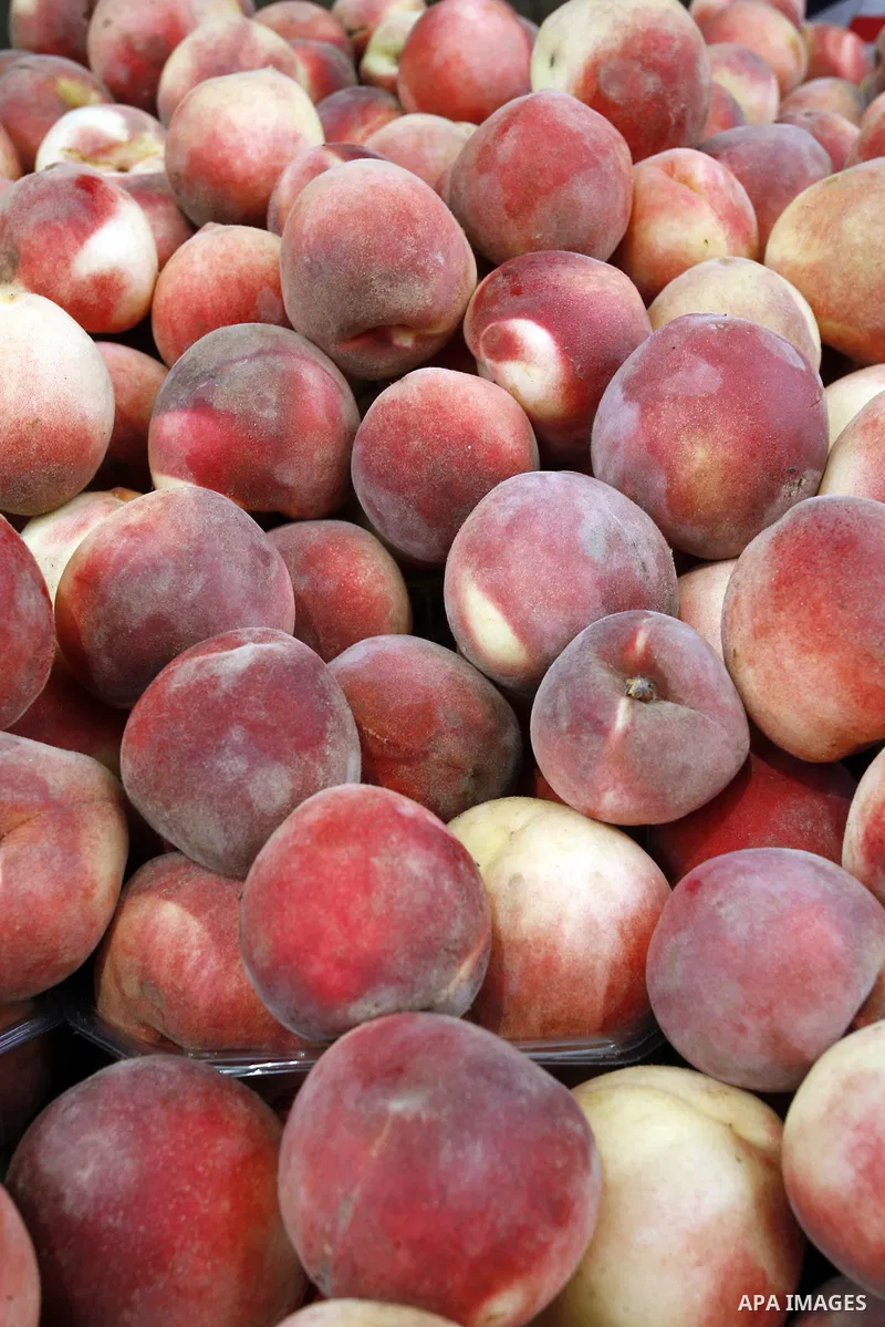 Peaches are seen at a shop in Rafah in the southern Gaza Strip, o n Sep. 01, 2014. Calm returned to the coastal enclave in a August 26 ceasefire, and Gazans were gradually starting to rebuild their lives after a bloody a...