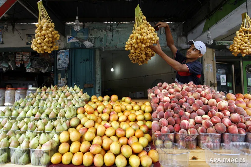 A Palestinian vendor sells fruits at his shop in Rafah in the southern Gaza Strip, o n Sep. 01, 2014. Calm returned to the coastal enclave in a August 26 ceasefire, and Gazans were gradually starting to rebuild their liv...