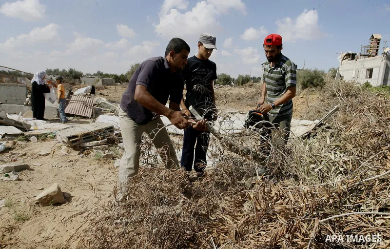 Palestinians inspect their farmland which destroyed during fighting between Hamas militants and Israel near the Israeli Gaza border fence in east of Khan Younis, southern Gaza Strip September 2, 2014. An open-ended cease...