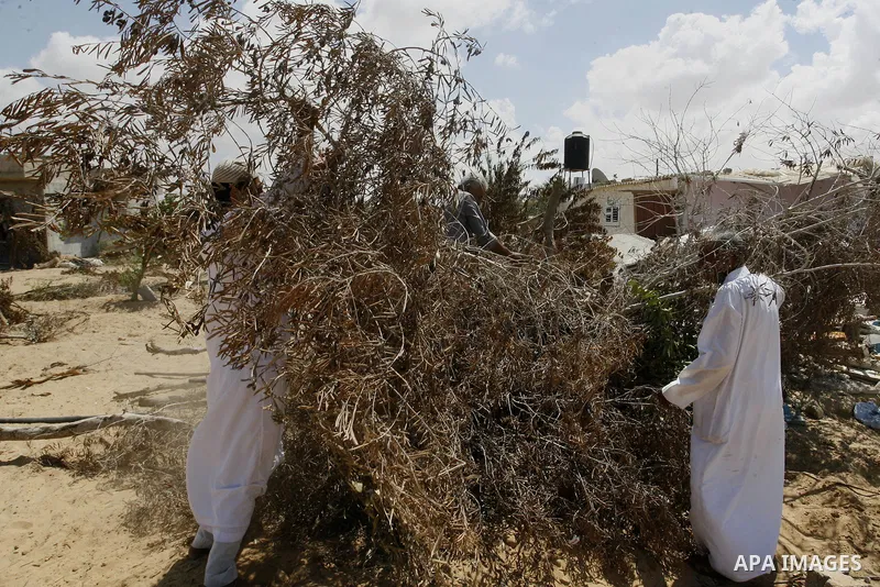 Palestinians inspect their farmland which destroyed during fighting between Hamas militants and Israel in east of Rafah in southern Gaza strip on September 07, 2014. Calm returned to the coastal enclave in a August 26 ce...