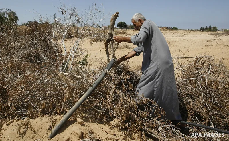 A Palestinian man inspects his farmland which destroyed during fighting between Hamas militants and Israel in east of Rafah in southern Gaza strip on September 07, 2014. Calm returned to the coastal enclave in a August 2...