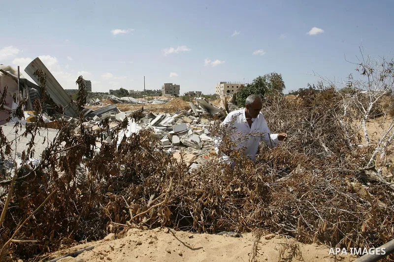 A Palestinian man inspects his farmland which destroyed during fighting between Hamas militants and Israel in east of Rafah in southern Gaza strip on September 07, 2014. Calm returned to the coastal enclave in a August 2...