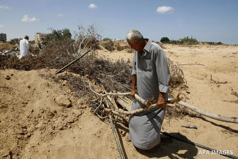A Palestinian man inspects his farmland which destroyed during fighting between Hamas militants and Israel in east of Rafah in southern Gaza strip on September 07, 2014. Calm returned to the coastal enclave in a August 2...