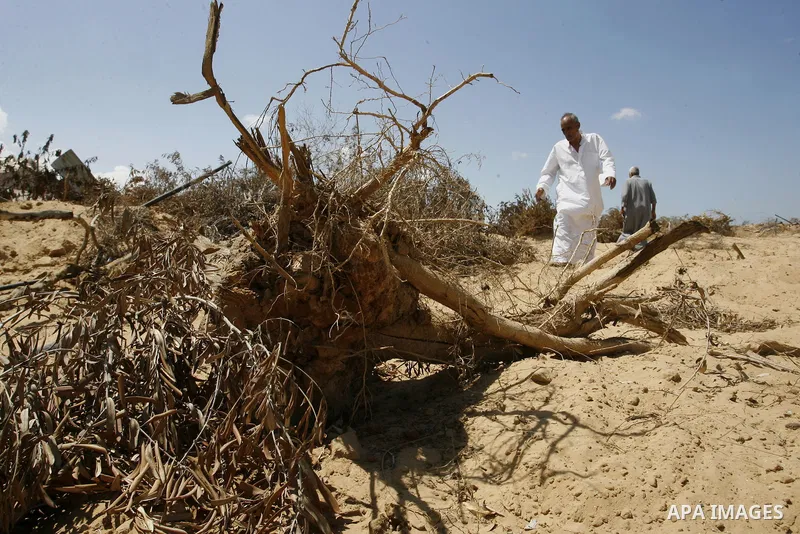 A Palestinian man inspects his farmland which destroyed during fighting between Hamas militants and Israel in east of Rafah in southern Gaza strip on September 07, 2014. Calm returned to the coastal enclave in a August 2...