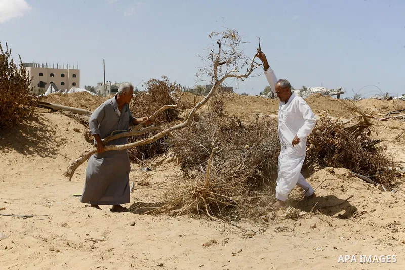 Palestinians inspect their farmland which destroyed during fighting between Hamas militants and Israel in east of Rafah in southern Gaza strip on September 07, 2014. Calm returned to the coastal enclave in a August 26 ce...