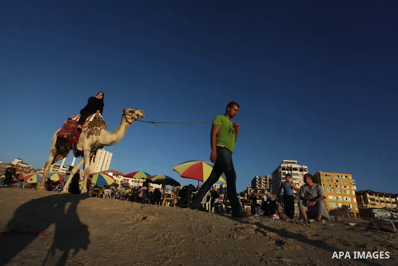 Palestinians ride a camel on the beach in Gaza city, on Sep. 07, 2014. Photo by Ashraf Amra