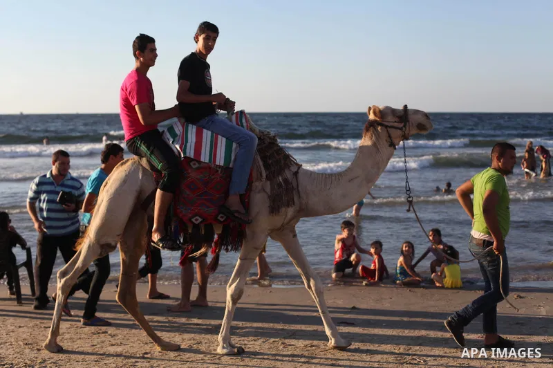 Palestinians ride a camel on the beach in Gaza city, on Sep. 07, 2014. Photo by Ashraf Amra