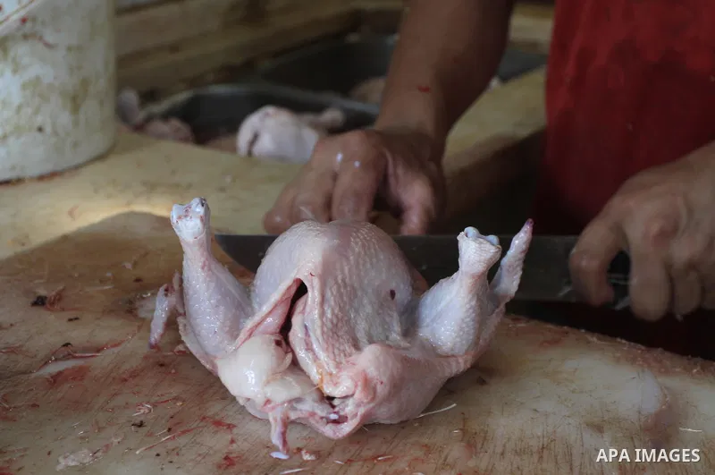 A Palestinian man cleans chicken meat at a poultry shop in Gaza city on September 12, 2014. The poultry farming industry in Gaza has suffered losses of over $10 million as a result of Israel's seven week offensive on the...