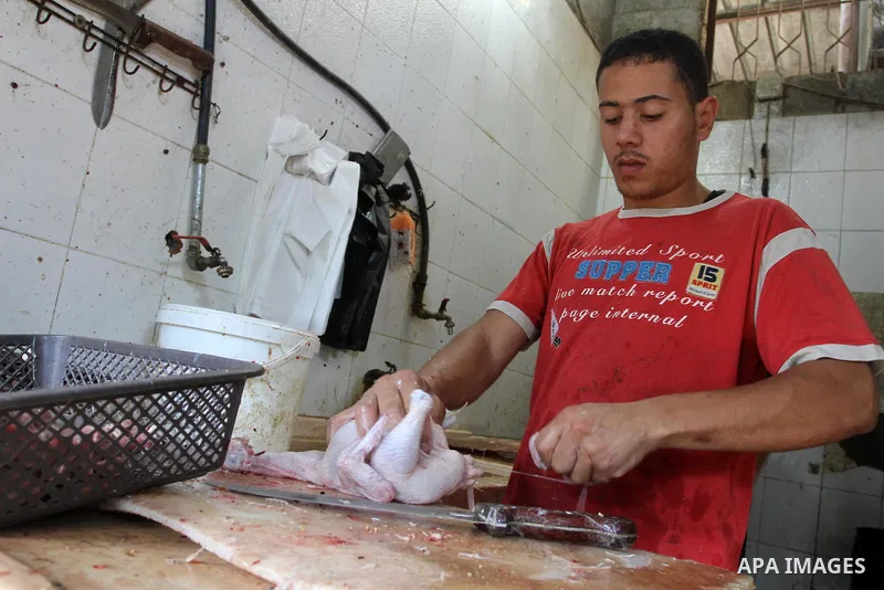 A Palestinian man cleans chicken meat at a poultry shop in Gaza city on September 12, 2014. The poultry farming industry in Gaza has suffered losses of over $10 million as a result of Israel's seven week offensive on the...