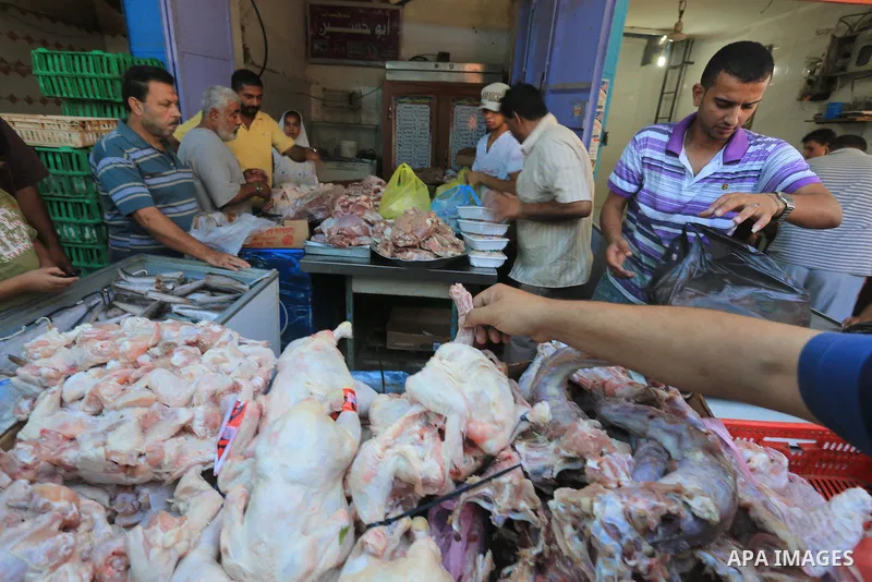 Palestinians buy chicken meat at a poultry shop in Gaza city on September 12, 2014. The poultry farming industry in Gaza has suffered losses of over $10 million as a result of Israel's seven week offensive on the besiege...