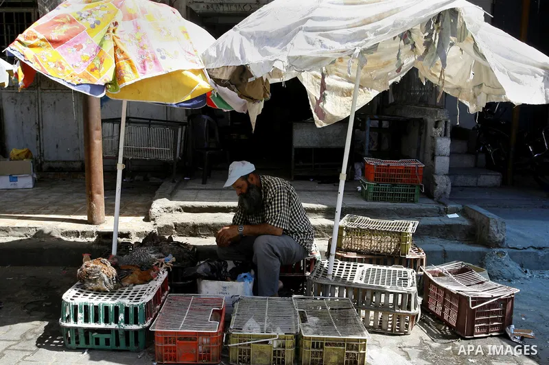 A Palestinian man sells poultry at a street market in Rafah in the southern Gaza Strip on Sept. 17, 2014. An open-ended ceasefire between Israel and Hamas-led Gaza militants, mediated by Egypt, took effect on August 26 a...