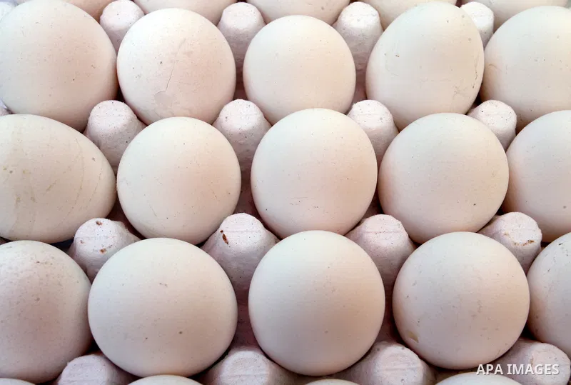 Eggs is displayed at a street market in Rafah in the southern Gaza Strip on Sept. 17, 2014. An open-ended ceasefire between Israel and Hamas-led Gaza militants, mediated by Egypt, took effect on August 26 after a seven-w...