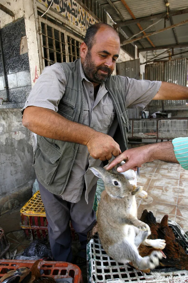 A Palestinian man sells poultry at a street market in Rafah in the southern Gaza Strip on Sept. 17, 2014. An open-ended ceasefire between Israel and Hamas-led Gaza militants, mediated by Egypt, took effect on August 26 a...