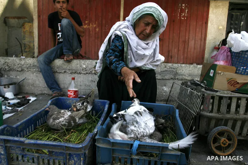 A Palestinian woman sells poultry at a street market in Rafah in the southern Gaza Strip on Sept. 17, 2014. An open-ended ceasefire between Israel and Hamas-led Gaza militants, mediated by Egypt, took effect on August 26...