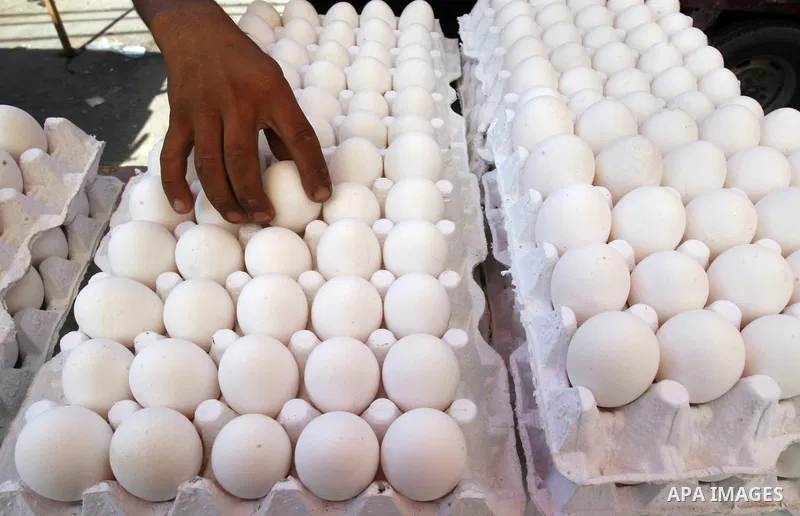 A Palestinian man sells eggs at a street market in Rafah in the southern Gaza Strip on Sept. 17, 2014. An open-ended ceasefire between Israel and Hamas-led Gaza militants, mediated by Egypt, took effect on August 26 afte...