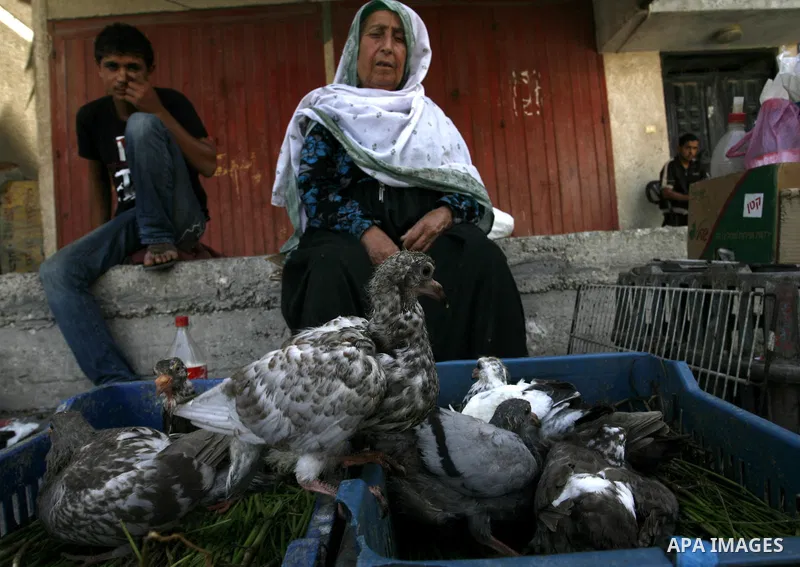 A Palestinian woman sells poultry at a street market in Rafah in the southern Gaza Strip on Sept. 17, 2014. An open-ended ceasefire between Israel and Hamas-led Gaza militants, mediated by Egypt, took effect on August 26...