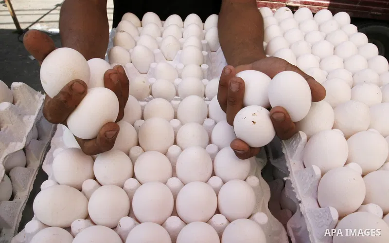 A Palestinian man sells eggs at a street market in Rafah in the southern Gaza Strip on Sept. 17, 2014. An open-ended ceasefire between Israel and Hamas-led Gaza militants, mediated by Egypt, took effect on August 26 afte...