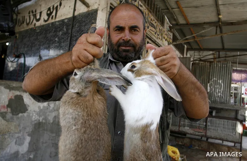 A Palestinian man sells poultry at a street market in Rafah in the southern Gaza Strip on Sept. 17, 2014. An open-ended ceasefire between Israel and Hamas-led Gaza militants, mediated by Egypt, took effect on August 26 a...
