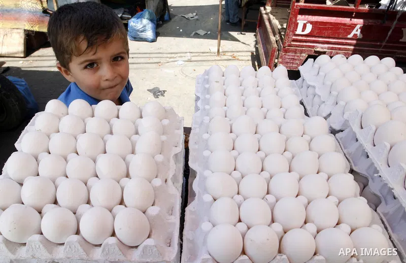 A Palestinian boy sells eggs at a street market in Rafah in the southern Gaza Strip on Sept. 17, 2014. An open-ended ceasefire between Israel and Hamas-led Gaza militants, mediated by Egypt, took effect on August 26 afte...