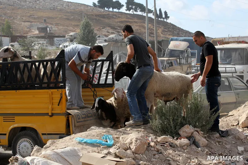 Palestinians gather around goats and sheep for sale at a market in preparation for the Eid al-Adha festival in the West Bank city of Nablus, Sept. 29, 2014. Muslims worldwide are celebrating Eid al-Adha, or Feast of the...