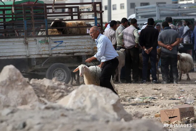 Palestinians gather around goats and sheep for sale at a market in preparation for the Eid al-Adha festival in the West Bank city of Nablus, Sept. 29, 2014. Muslims worldwide are celebrating Eid al-Adha, or Feast of the...