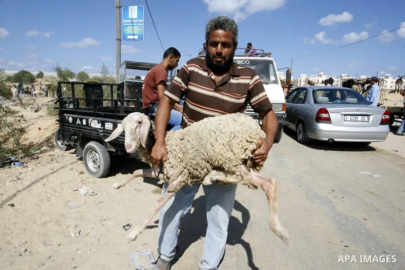 A Palestinian man carries a goat for sale at a livestock market, days before the major Muslim festival of Eid al-Adha, in Khan Younis in the southern Gaza Strip on October 1, 2014. During the first week of October, Musli...