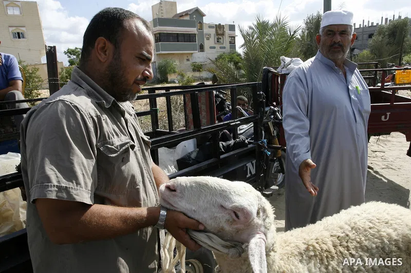 A Palestinian man checks a goat for sale at a livestock market, days before the major Muslim festival of Eid al-Adha, in Khan Younis in the southern Gaza Strip on October 1, 2014. During the first week of October, Muslim...