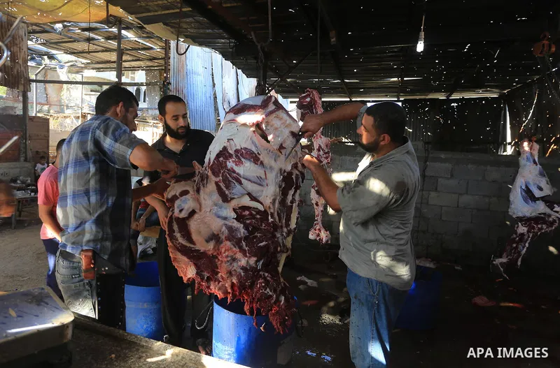 Palestinian butchers cut the meat of a cow after slaughtered on the first day of Eid al-Adha or or the feast of sacrifice, in Gaza city on October 4, 2014. Muslims around the world are celebrating Eid al-Adha, the Festiv...