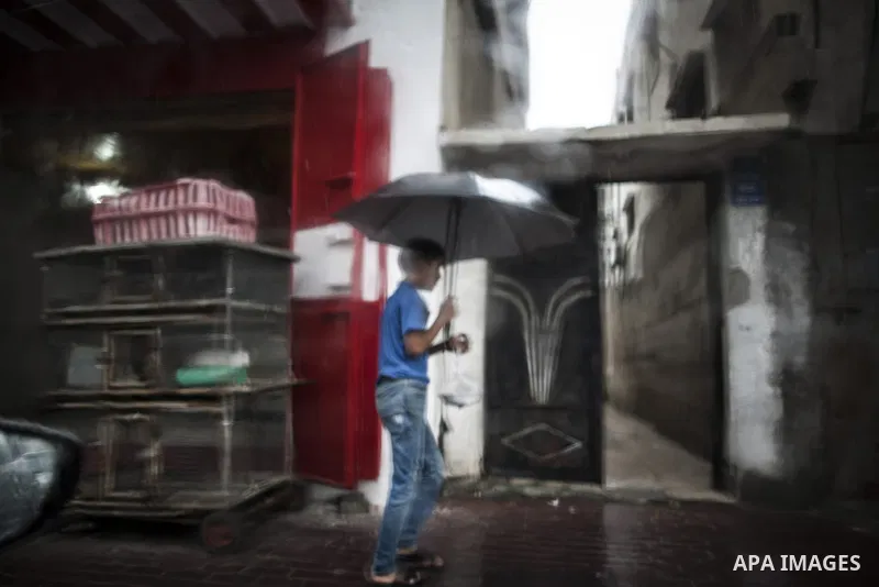 A Palestinian boy holds an umbrella as he walks at a street, on a rainy day in Gaza City October 19, 2014. An open-ended ceasefire between Israel and Hamas-led Gaza militants, mediated by Egypt, took effect on August 26...