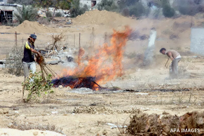 Palestinians burn branches as the International Committee of the Red Cross (ICRC) assists Palestinian farmers to repair their fields that were devastated during the Israeli army summer's military offensive on the Gaza St...