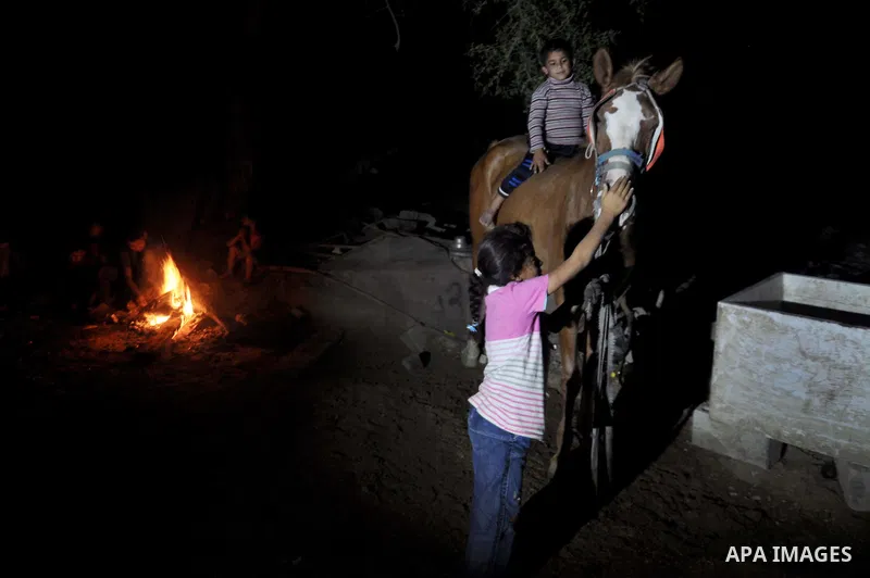 Palestinian children play with a horse as others warm themselves around a fire, at their destroyed house in al-Shejaiya neighbourhood in the east of Gaza City, October 23, 2014. With the cold days of winter approaching,...