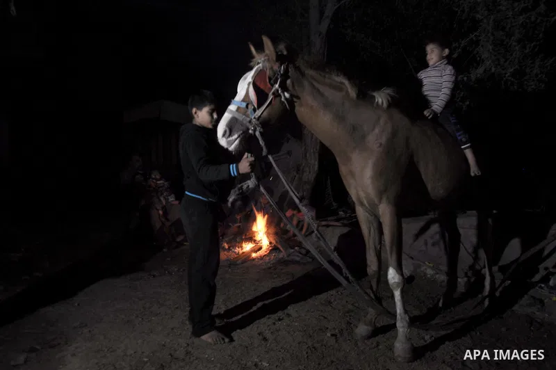 Palestinian children play with a horse as others warm themselves around a fire, at their destroyed house in al-Shejaiya neighbourhood in the east of Gaza City, October 23, 2014. With the cold days of winter approaching,...