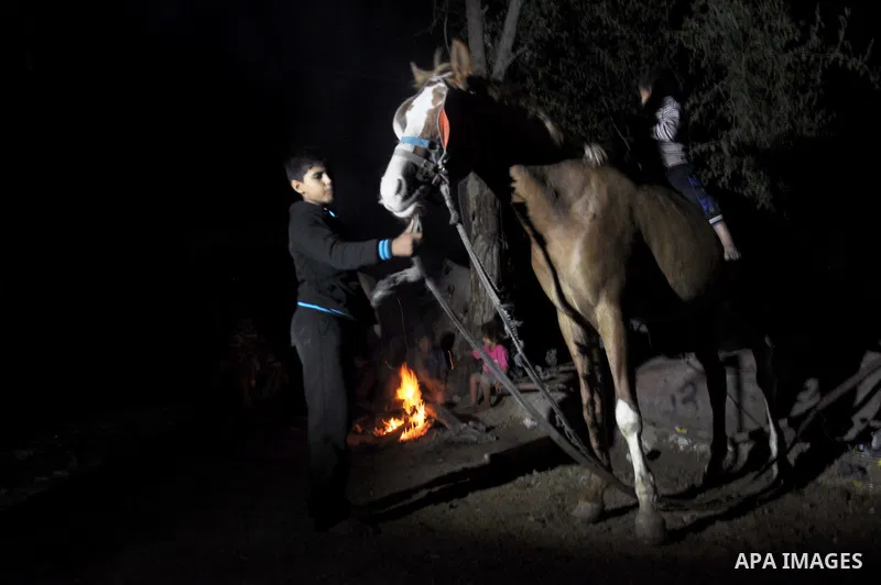 Palestinian children play with a horse as others warm themselves around a fire, at their destroyed house in al-Shejaiya neighbourhood in the east of Gaza City, October 23, 2014. With the cold days of winter approaching,...
