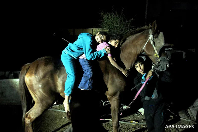Palestinian children play with a horse, at their destroyed house in al-Shejaiya neighbourhood in the east of Gaza City, October 23, 2014. With the cold days of winter approaching, more than 100,000 Gaza residents are sti...