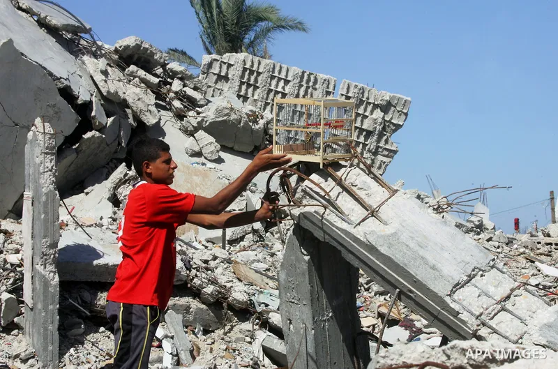 A Palestinian boy lays a Bird cage on the rubble of a building which witnesses said was destroyed by Israeli forces during the most recent conflict between Israel and Hamas, in Khuzaa in the east of Khan Younis, in the s...