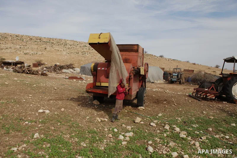 A Bedouin boy plays around a vehicle in the Jordan Valley near West Bank city of Jericho on November 29, 2014. Photo by Shadi Hatem