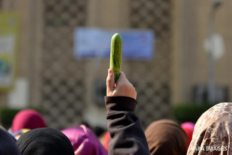 Egyptian anti-Mubarak students chant slogans one day after a court dismissed murder charges against former president Hosni Mubarak at Cairo University, Egypt, 30 November 2014. Two people were killed in clashes between p...