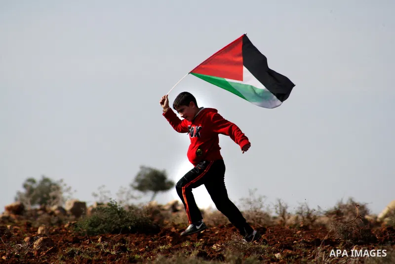 A Palestinian boy waving a Palestinian flag, plays at an agricultural land in Salem village, near the West Bank city of Nablus, December 5, 2014. Many groves are effectively off limits to Palestinians or threatened with...