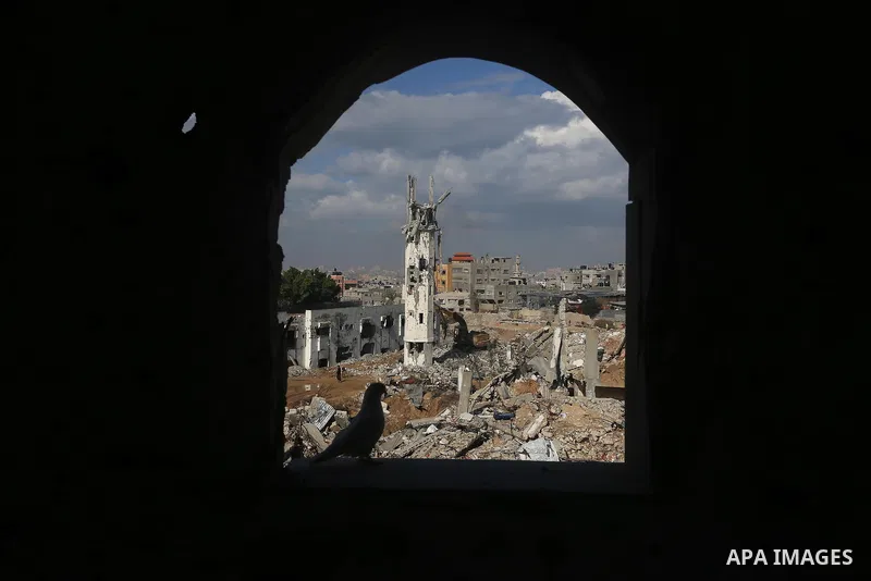 A white dove stands on the window of a destroyed house in front of the rubbles of houses which were destroyed by Israeli shelling during the recent offensive on Gaza Strip, in Shijaiyah neighborhood in the east of Gaza c...