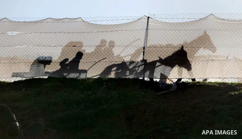 Palestinian men ride a horse cart in the northern Gaza Strip town of Beit Lahia, in Gaza city December 29, 2014. Photo by Ashraf Amra