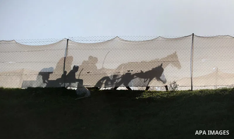 Palestinian men ride a horse cart in the northern Gaza Strip town of Beit Lahia, in Gaza city December 29, 2014. Photo by Ashraf Amra