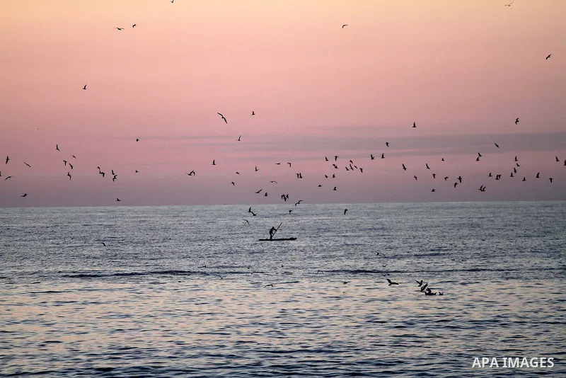 A Palestinian man rides a boat as he enjoy the last sunset of 2014 at the beach of Gaza city, December 31, 2014. Photo by Mohammed Asad