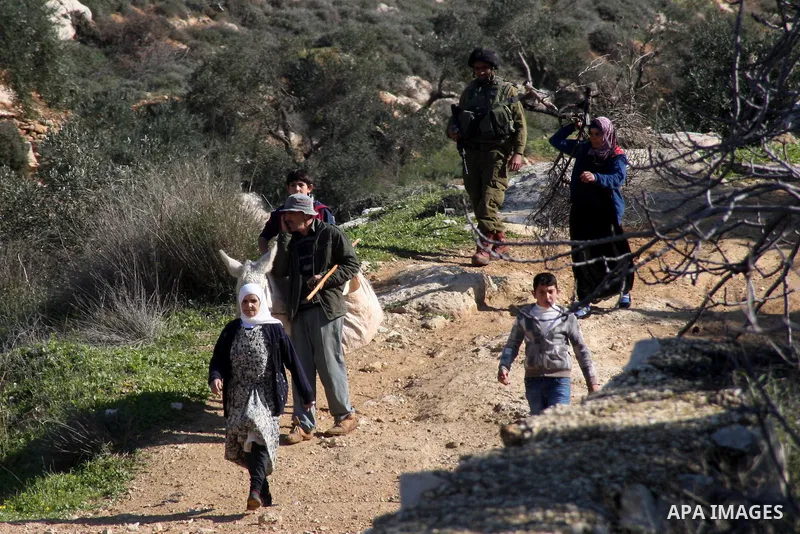 Israeli soldiers expel Palestinian farmers and shepherds from their fields after attacking Israeli settlers to them at Salem village near the West Bank of Nablus, on January 14, 2014. Photo by Nedal Eshtayah