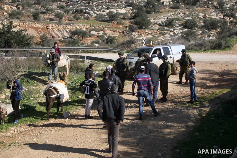 Israeli soldiers expel Palestinian farmers and shepherds from their fields after attacking Israeli settlers to them at Salem village near the West Bank of Nablus, on January 14, 2014. Photo by Nedal Eshtayah