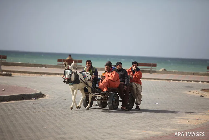 Palestinian men ride a donkey cart naer the Gaza seaport in Gaza City on January 15, 2015. Photo by Ashraf Amra