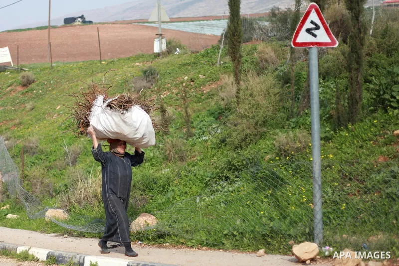 A Palestinian woman carries wood for fire, in the West Bank village of Beit Hassan, in the central Jordan Valley, January 19, 2015. Photo by Shadi Hatem